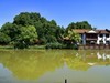 青山公园