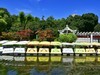 青山公园