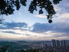 清风醉晚霞