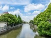 市井游拍