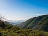秋游天目山（四）