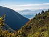 秋游天目山（四）