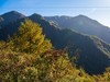 秋游天目山（四）