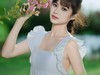 紫荆花下