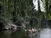 清晨的北京动物园