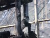 清晨的北京动物园