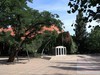 清晨的北京动物园