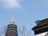2023-03-18  常州红梅公园