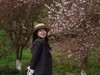 春天花正开