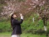 春天花正开