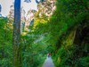 张家界游拍 56
