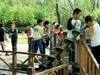 周末的海淀公园真热闹！