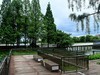 雨后的公园