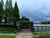 雨后的公园