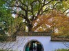 西湖冬景（11）