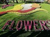 荷兰郁金香花田风光