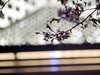 无锡三阳广场地铁口网红打卡