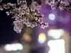 无锡三阳广场地铁口网红打卡