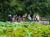 公园游玩