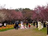 2025.2.26，游成都植物园1（人像）。