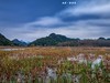 云南丘北 · 普者黑的田原风光（2）