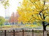 无锡新城中央公园秋色