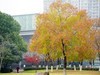 无锡新城中央公园秋色