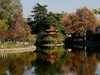 武汉映像-------秋景！