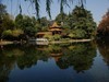 武汉映像-------秋景！