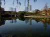 武汉映像-------秋景！