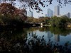 武汉映像-------秋景！