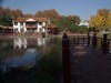 武汉映像-------秋景！