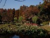 武汉映像-------秋景！