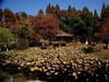 武汉映像-------秋景！