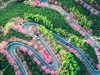 #花开春光寻美景#--换个视角看春暖花开