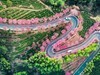 #花开春光寻美景#--换个视角看春暖花开