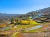 2025-04-22云南元阳箐口村梯田（一）