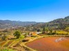 2025-04-22云南元阳箐口村梯田（一）