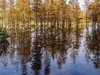 成都白鹭湾湿地公园【3】