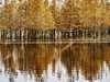成都白鹭湾湿地公园【3】