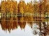 成都白鹭湾湿地公园【3】
