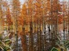 成都白鹭湾湿地公园【3】