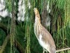 荷池拾掇之美