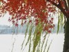 富春江边2