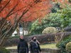 富春江边2