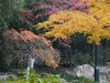 富春江边2
