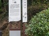 富春江边31