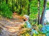 湖滨写真