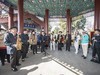 公园里的演出