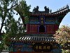 我只是把出去看到的随手记录下来（159）